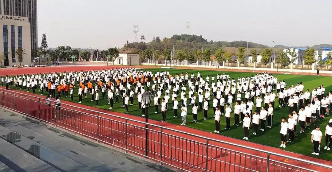 沙坪坝义务教育学校,沙坪坝小学新学校