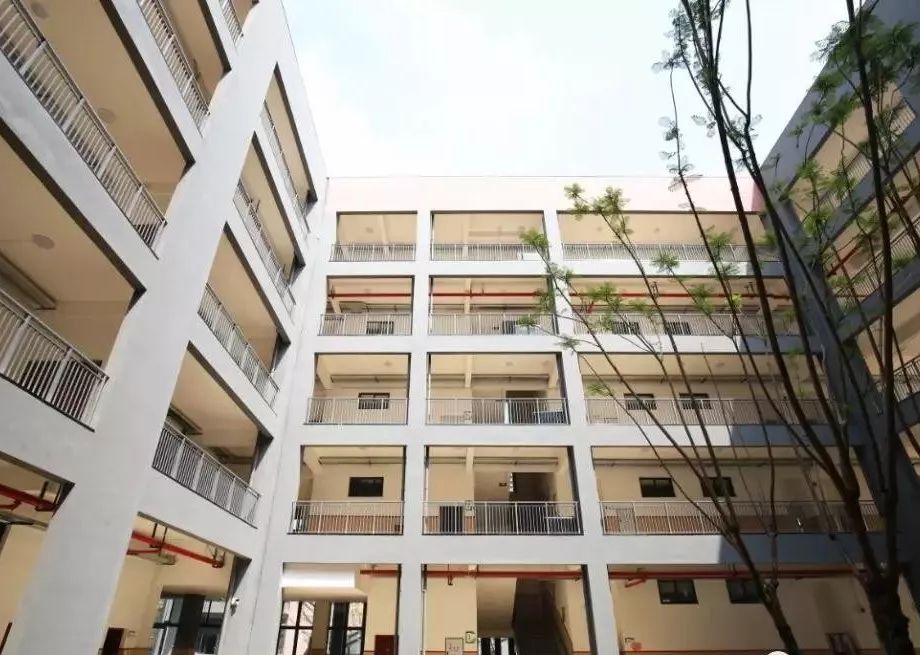 沙坪坝义务教育学校,沙坪坝小学新学校