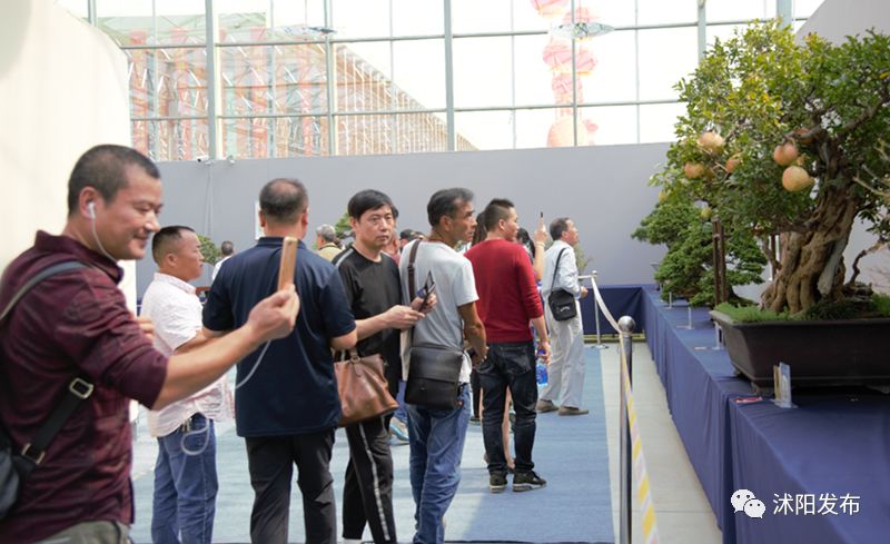 娌槼鏃呮父璺嚎鎺ㄨ崘,姹熻嫃娌槼鏃呮父鏀荤暐璺嚎