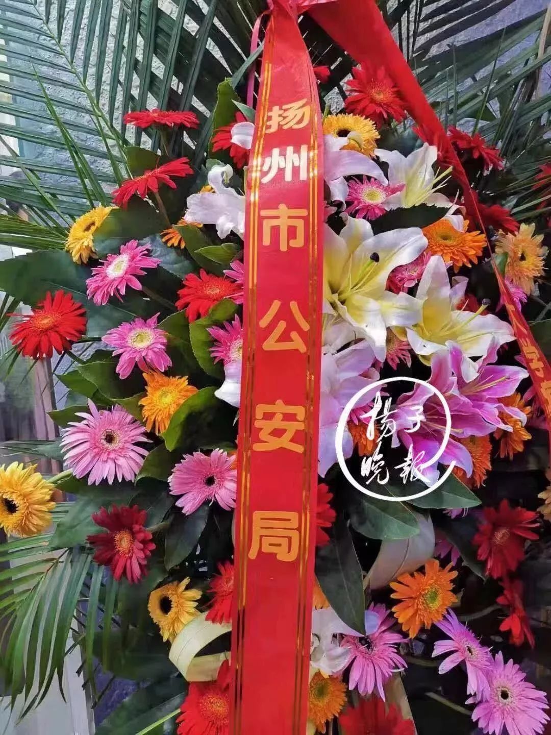 9月6日|新早读来了！活久见！奶茶店开业，“市纪检委”“市公安局”都送花篮……