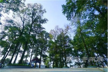 多彩妹摆贵州丨贵州十大少数民族村落，你喜欢的样子全都有