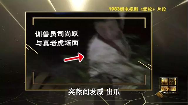 培根铸魂纪录片,培根铸魂面对面