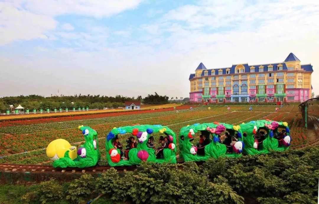 南沙百万葵园免费吗,南沙百万葵园开放时间最新