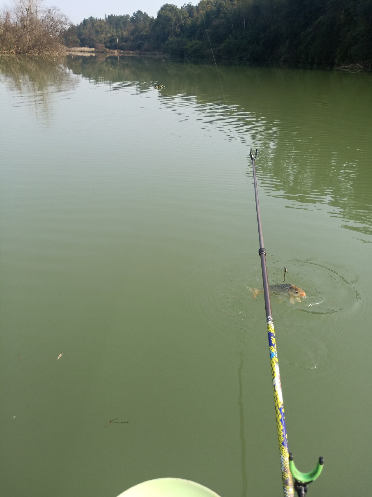 钓鱼已有几年，如今只能欣赏钓友钓鱼了...