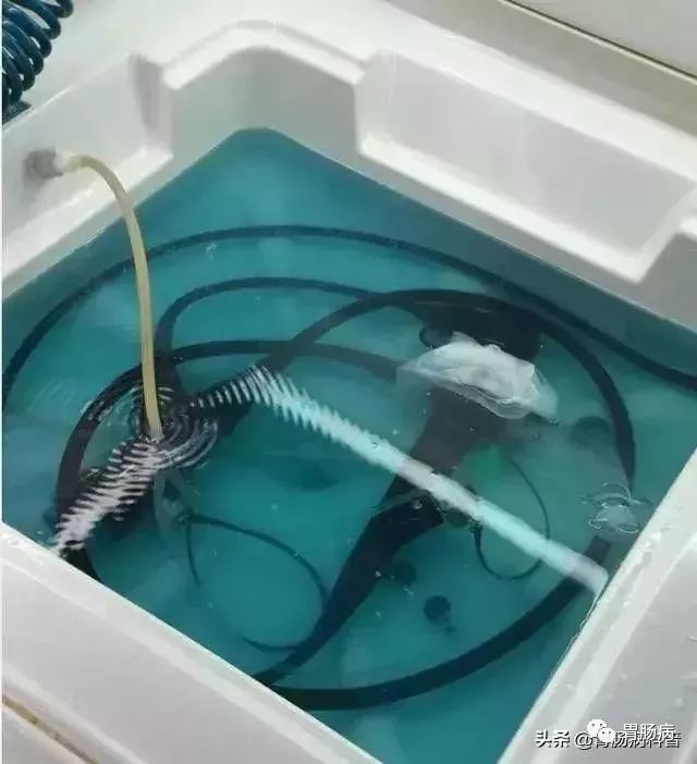 胃肠镜是不是胃镜和肠镜一起检查,胃肠镜是包括胃镜和肠镜吗