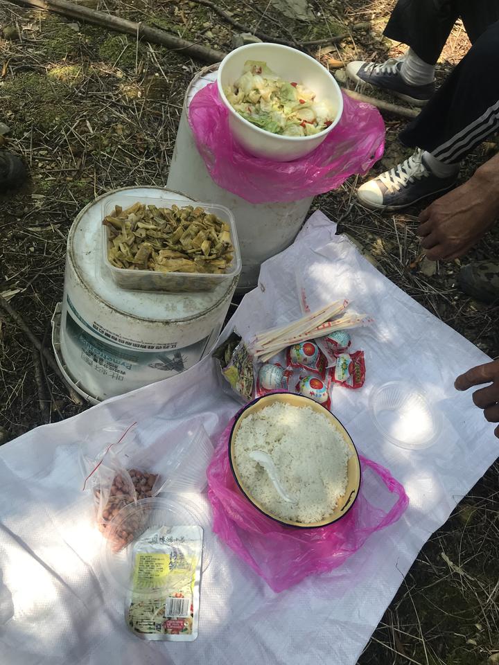 临安山核桃开杆,临安山核桃最新消息