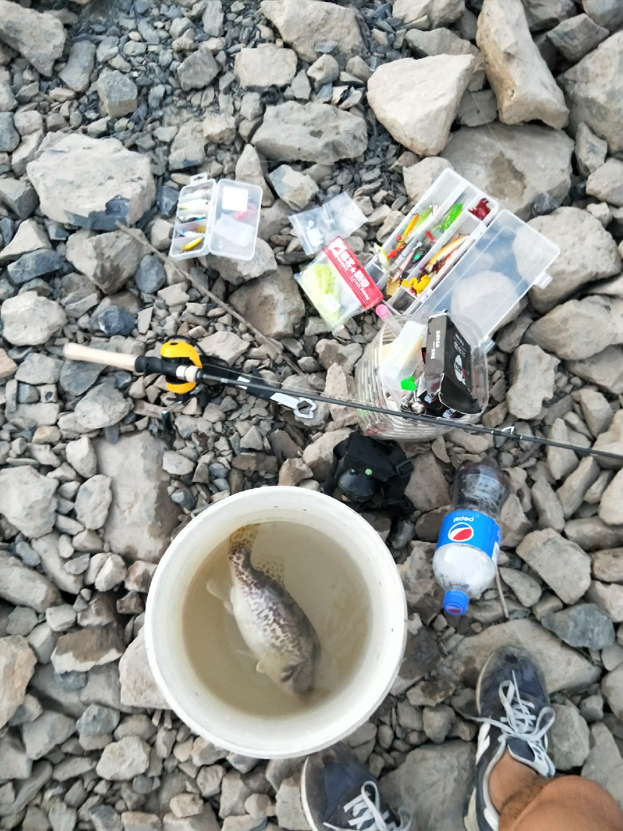 小白长江边路亚表演，现场练习绑8字环