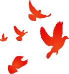 国庆节专辑|爱国，让我们从爱护*旗国**做起！