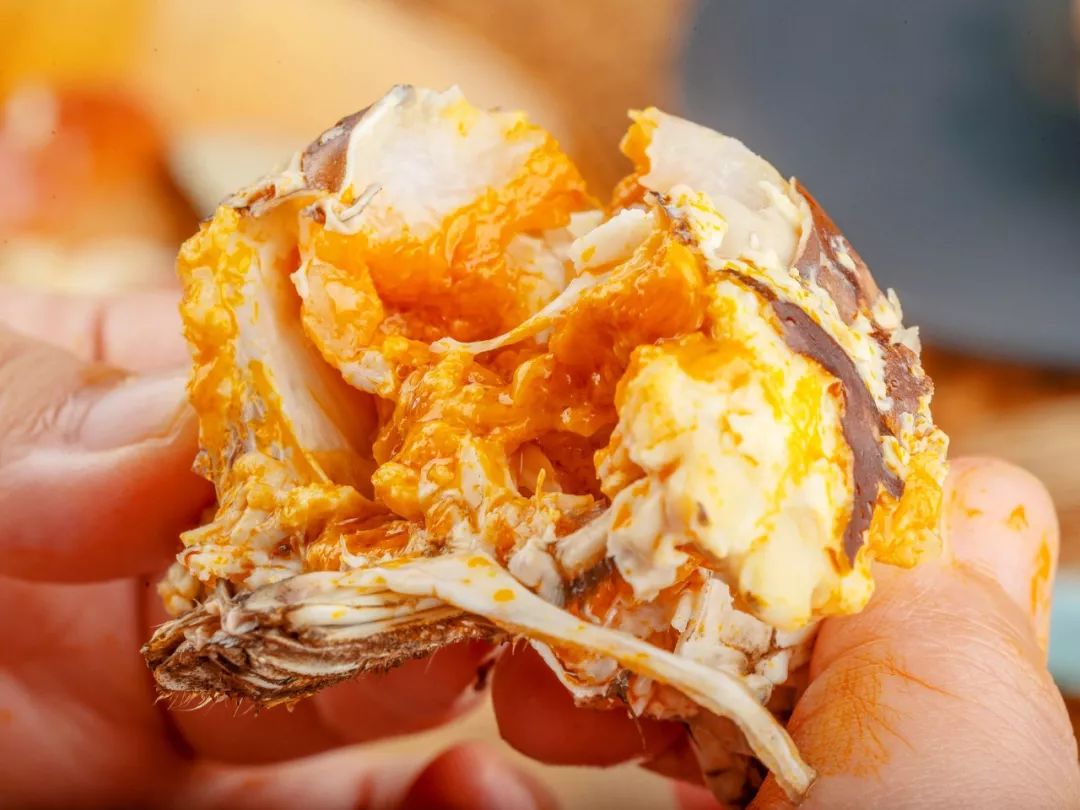 大闸蟹好的蟹黄口感怎么样,这大闸蟹真新鲜咬一口全是蟹黄