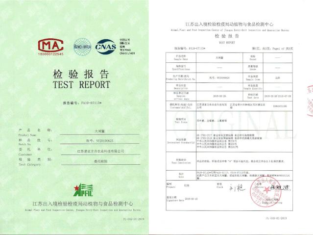 大闸蟹好的蟹黄口感怎么样,这大闸蟹真新鲜咬一口全是蟹黄