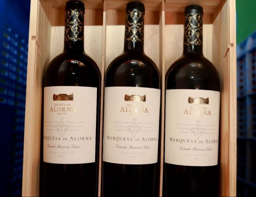 海关拍卖新车视频,海关拍卖的车可以再次卖出去吗