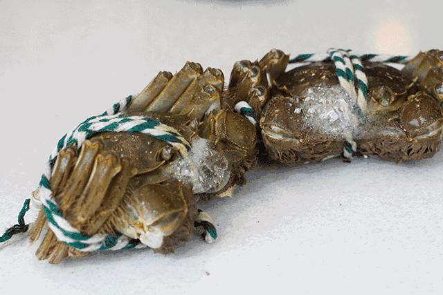 阳澄湖大闸蟹几月份最好吃最美味,吃阳澄湖大闸蟹的快乐季节