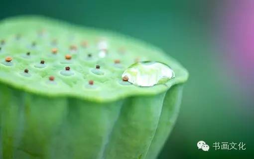 白露塘杀猪粉做法,白鹭杰哥