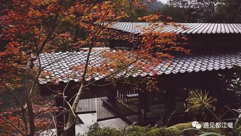 国庆节都江堰怎么玩,去都江堰玩啥最好看的攻略图解