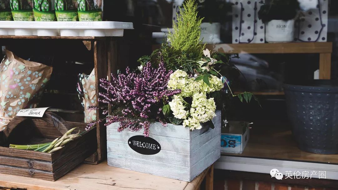 稀缺别墅新品,超优质稀缺别墅推荐