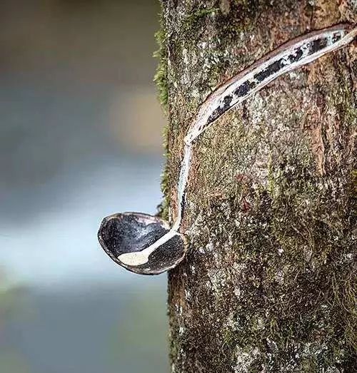 各种漆的品牌及特点,各家漆的优缺点