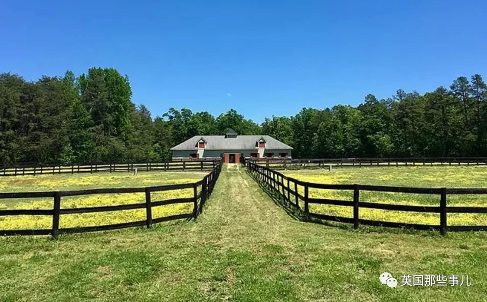 南非性侵罪,揭露南非性侵案