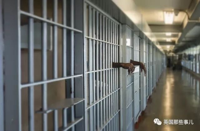 南非性侵罪,揭露南非性侵案