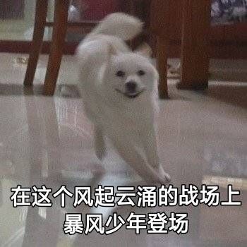 每天都有几千人坐着飞机迫不及待的赶去被骗