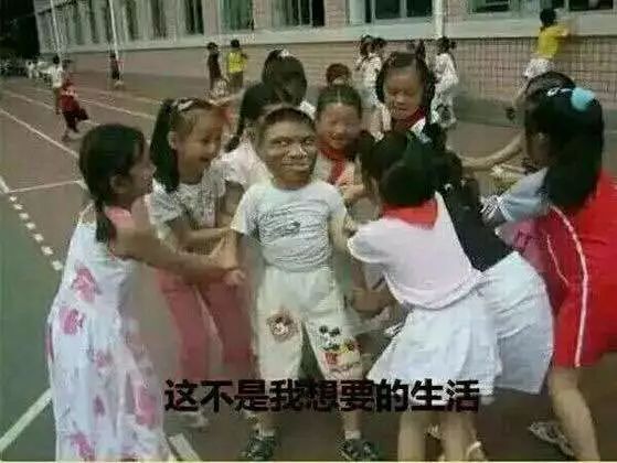 每天都有几千人坐着飞机迫不及待的赶去被骗