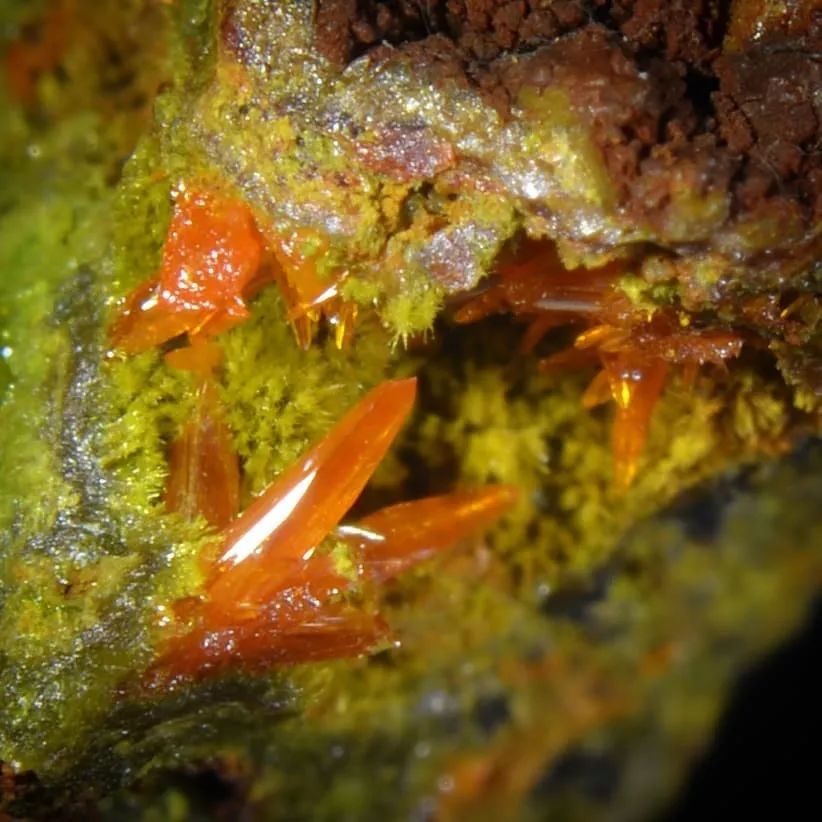 假如绿松石会说话,如果金属会说话的故事