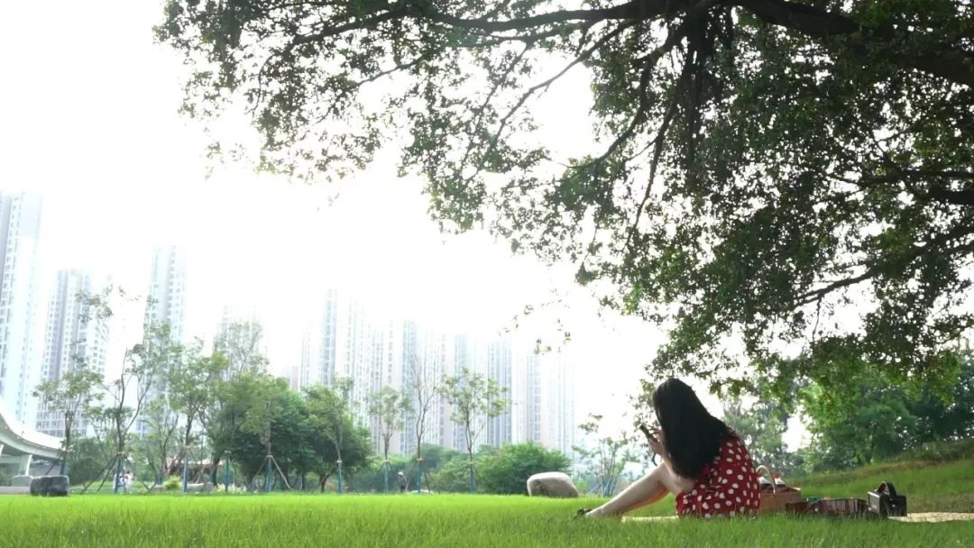 晋江阳光地下停车场收费标准,晋江机场地下停车场收费标准