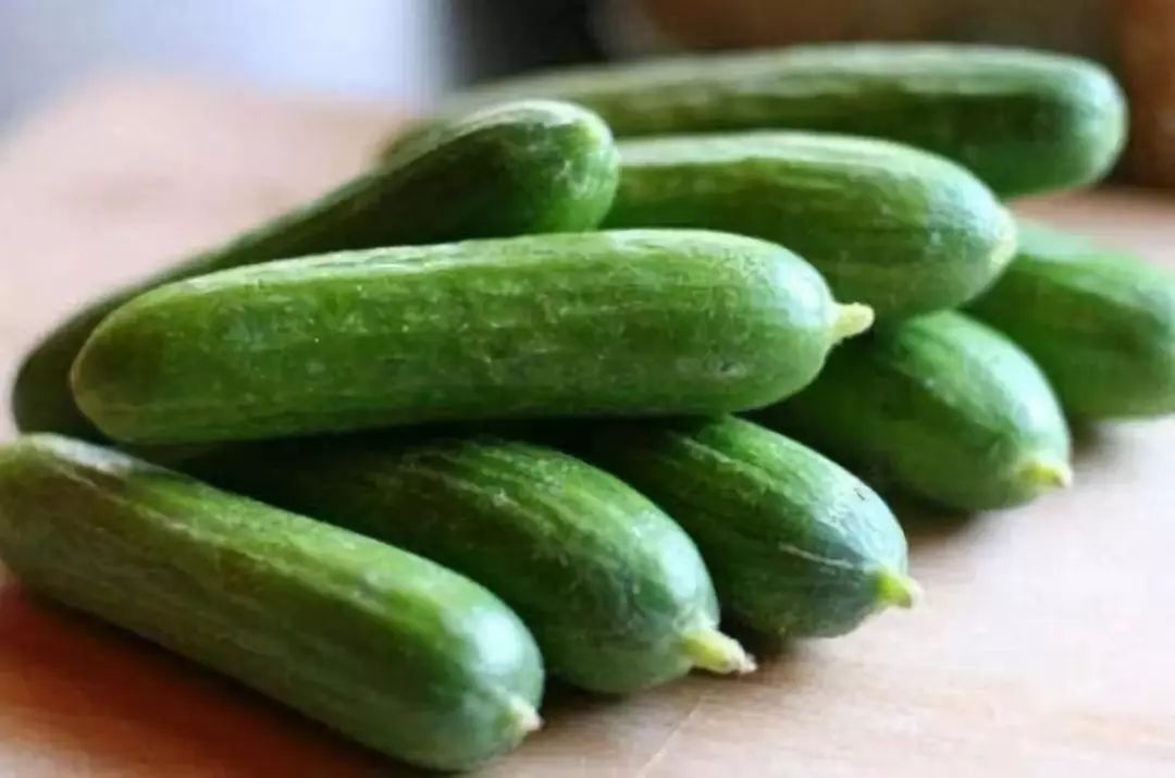 怎样吃野苦菜最有营养价值,越苦越有营养的4种食物