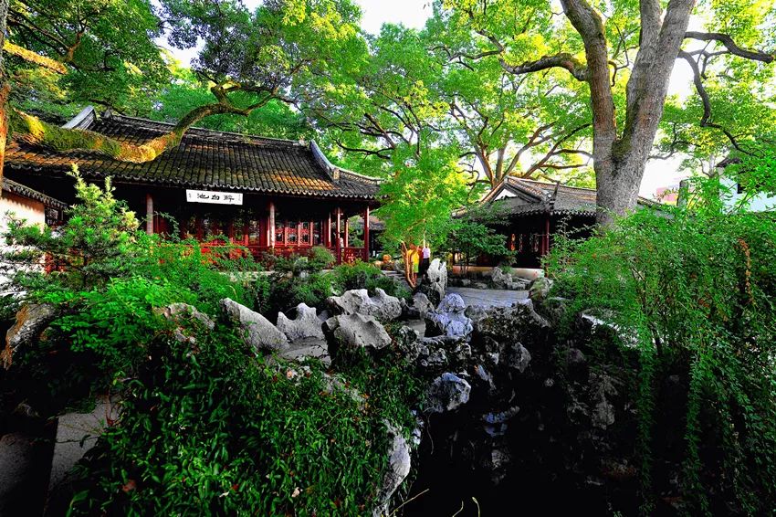 上海旅游年票哪里买最便宜,上海景点年票购买攻略