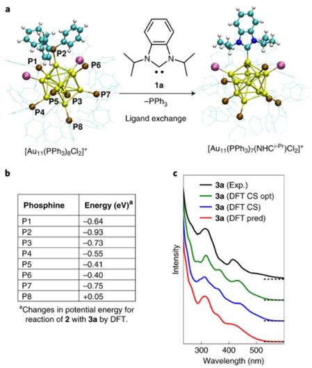 氮杂环卡宾催化氧化,卡宾用什么配件最好