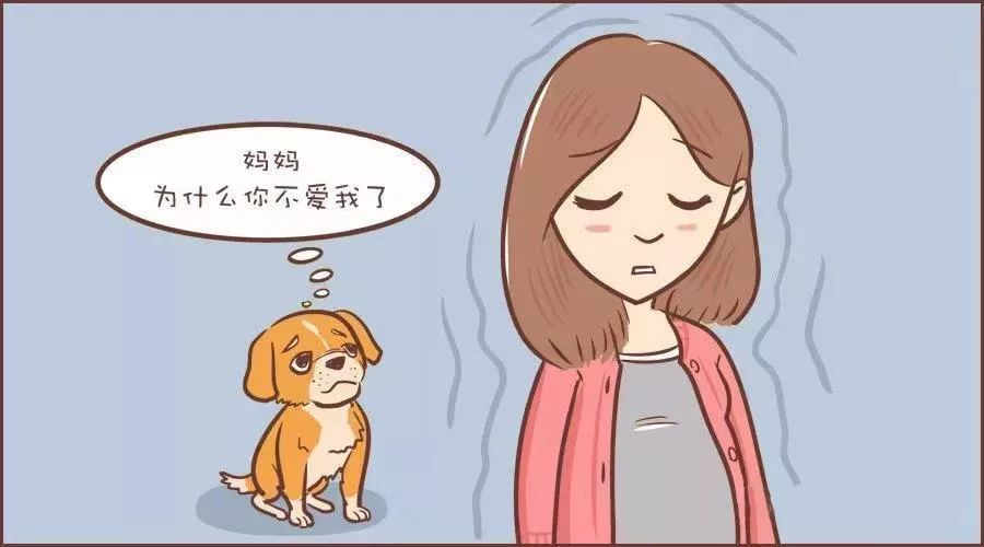 怀孕了能养宠物吗猫和狗,怀孕了养宠物还能继续养吗