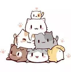 怀孕了能养宠物吗猫和狗,怀孕了养宠物还能继续养吗