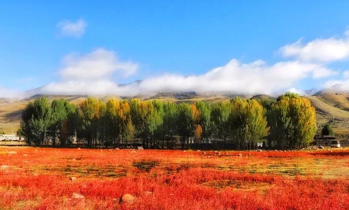 深度推荐旅行去处,最适合七天旅游的十个城市
