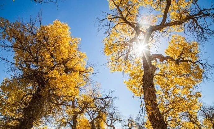深度推荐旅行去处,最适合七天旅游的十个城市