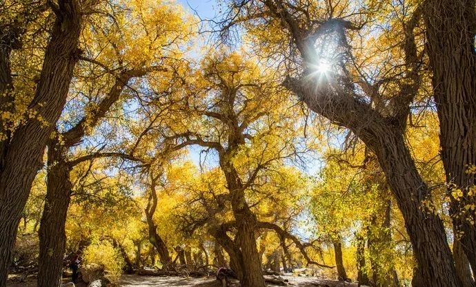 深度推荐旅行去处,最适合七天旅游的十个城市