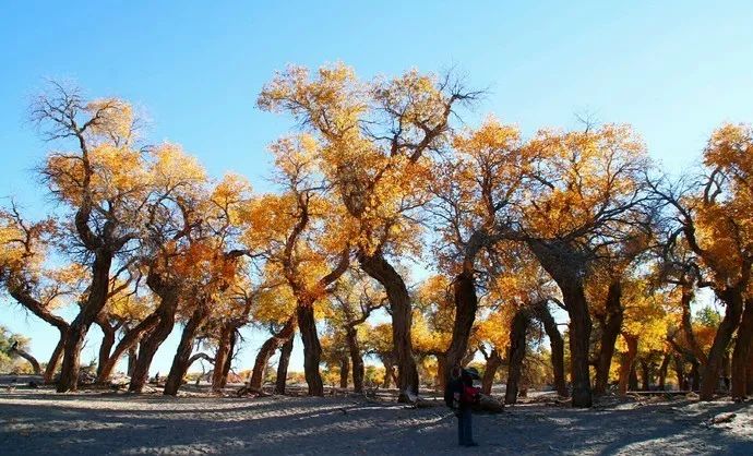 深度推荐旅行去处,最适合七天旅游的十个城市