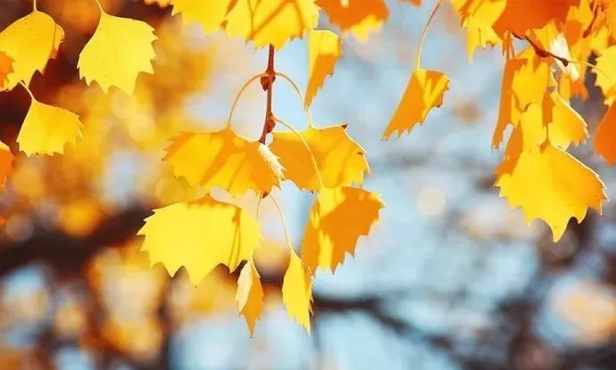 深度推荐旅行去处,最适合七天旅游的十个城市