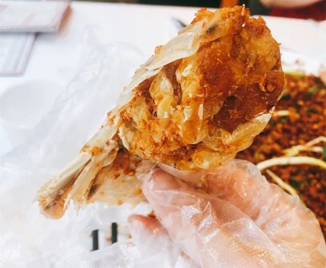 攻略来了！当上海人拿起醋和姜丝，全城的大闸蟹都充满了忧伤…