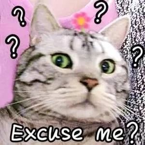 小红书发布过多山寨品牌怎么办呢,小红书模仿爆款怎么没有浏览量