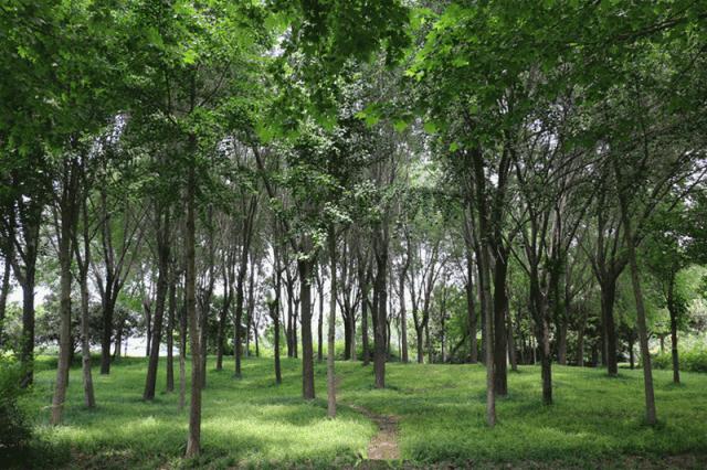 大局已定该如何改变,大局已定逆风翻盘