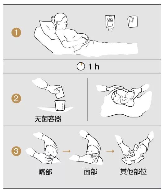 打脸“阴道播种”|Nature刊发迄今最大规模新生儿菌群研究，发现顺产儿肠道菌来自母亲肠道而非阴道，剖宫产儿则多是医院致病菌