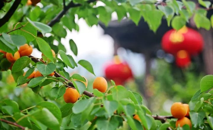 1130属于什么星座,1130什么星座