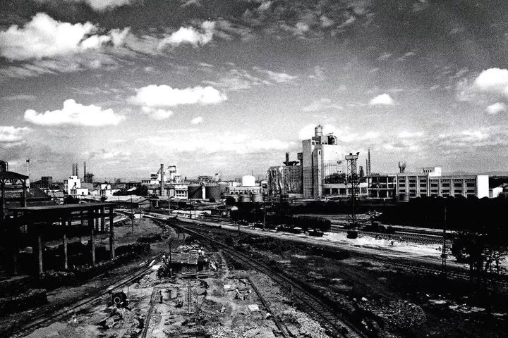 1130属于什么星座,1130什么星座