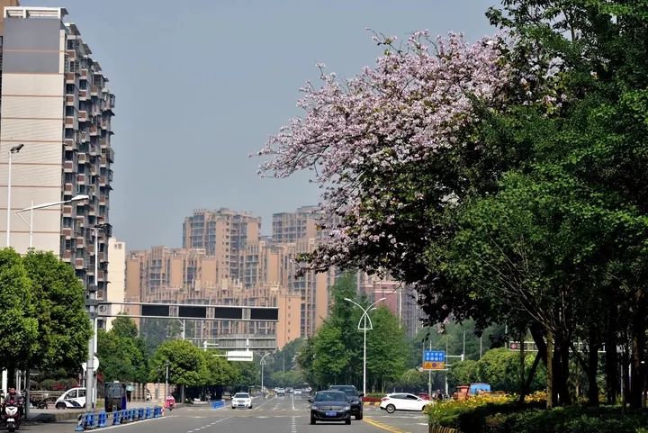 1130属于什么星座,1130什么星座