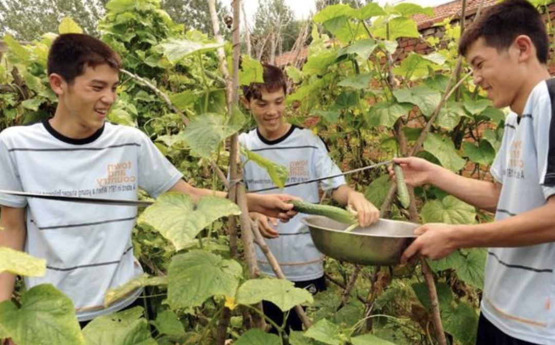 三胞胎十年*考前**进一所大学，高考分数连号！刚刚又同天结婚！又相信缘分了……