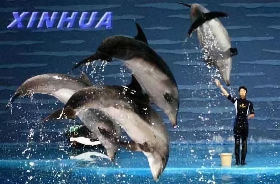 大连海岛四日游价格表最新,国庆节节大连四日游