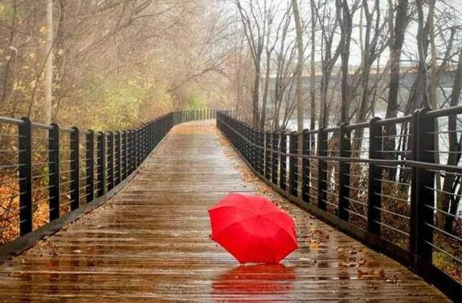 娌冲寳杩戝嚑澶╁ぇ閮ㄥ垎鍦板尯鏈夐洦,娌冲寳澶氬湴鏈変腑鍒板ぇ闆ㄥ眬鍦版湁鏆撮洦