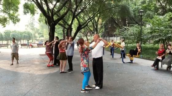 沙坪坝有哪些免费公园,沙坪坝公园推荐