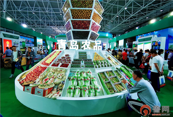 海福康高压速冻海参,青岛海福康海参博览会