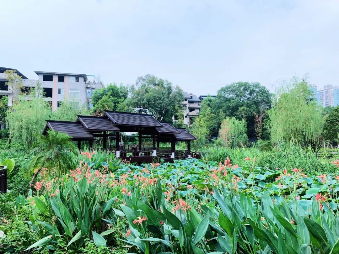 沙坪坝有哪些免费公园,沙坪坝公园推荐