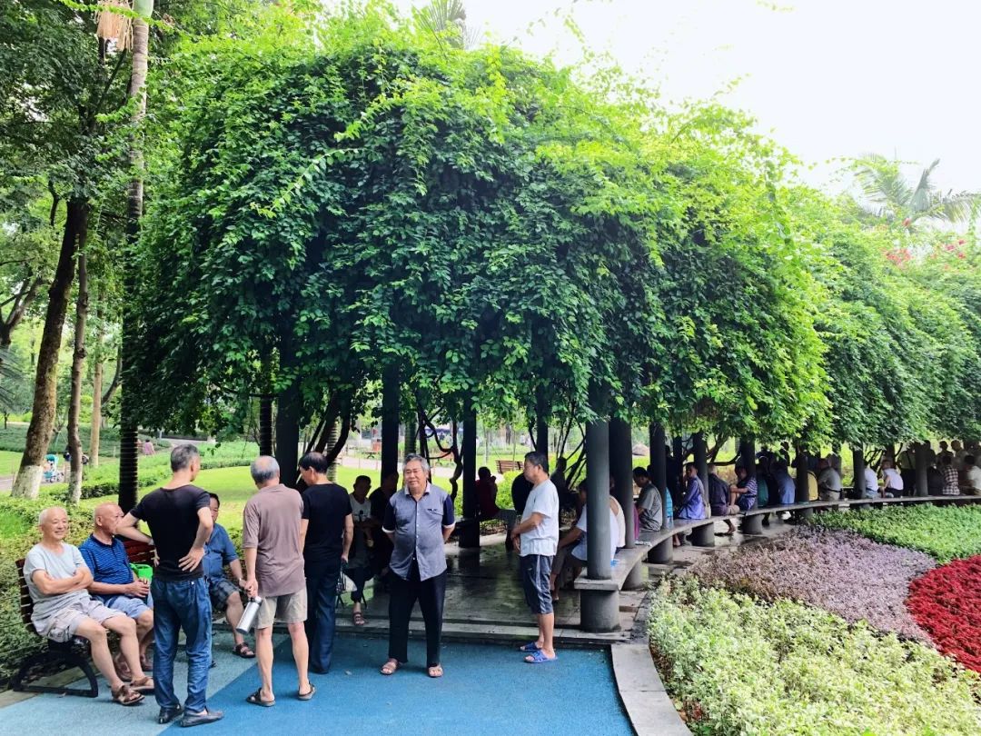 沙坪坝有哪些免费公园,沙坪坝公园推荐